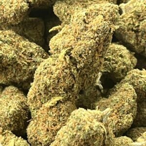 ORANGE BUD