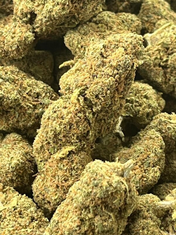 ORANGE BUD