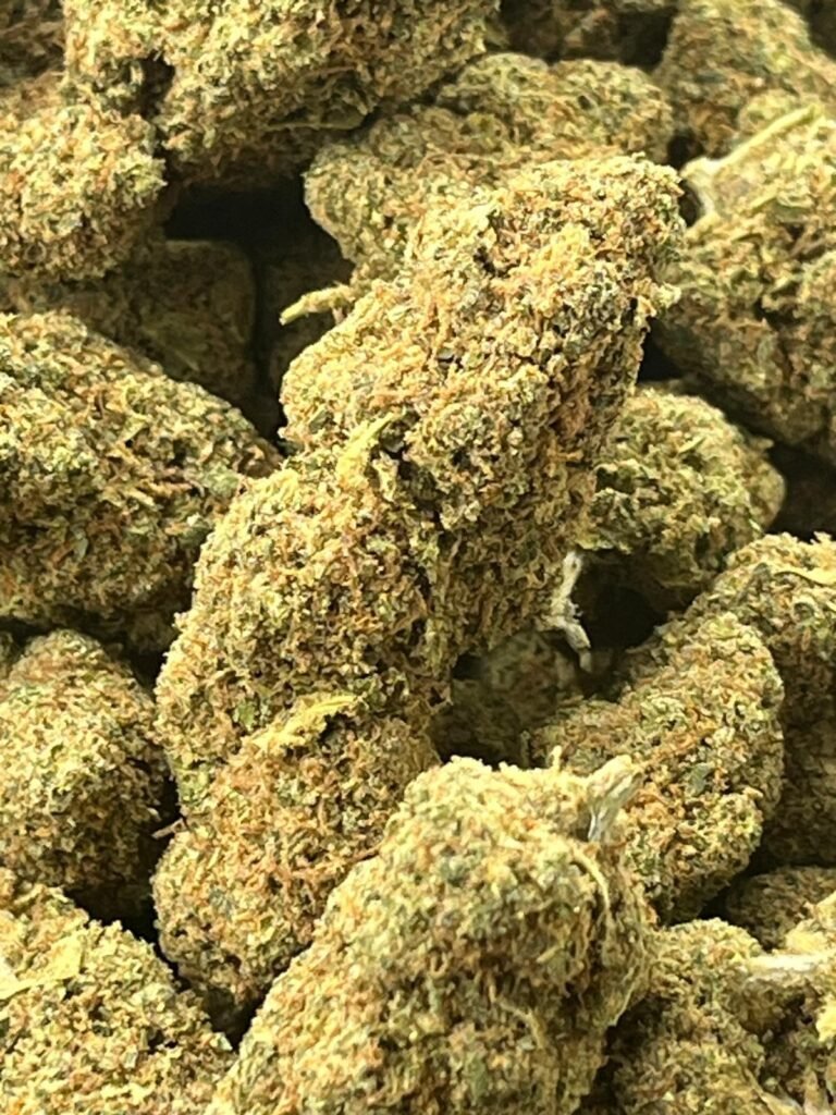 ORANGE BUD