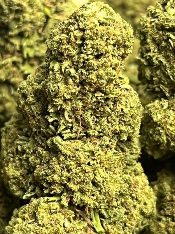 CANNATONIC – Image 2